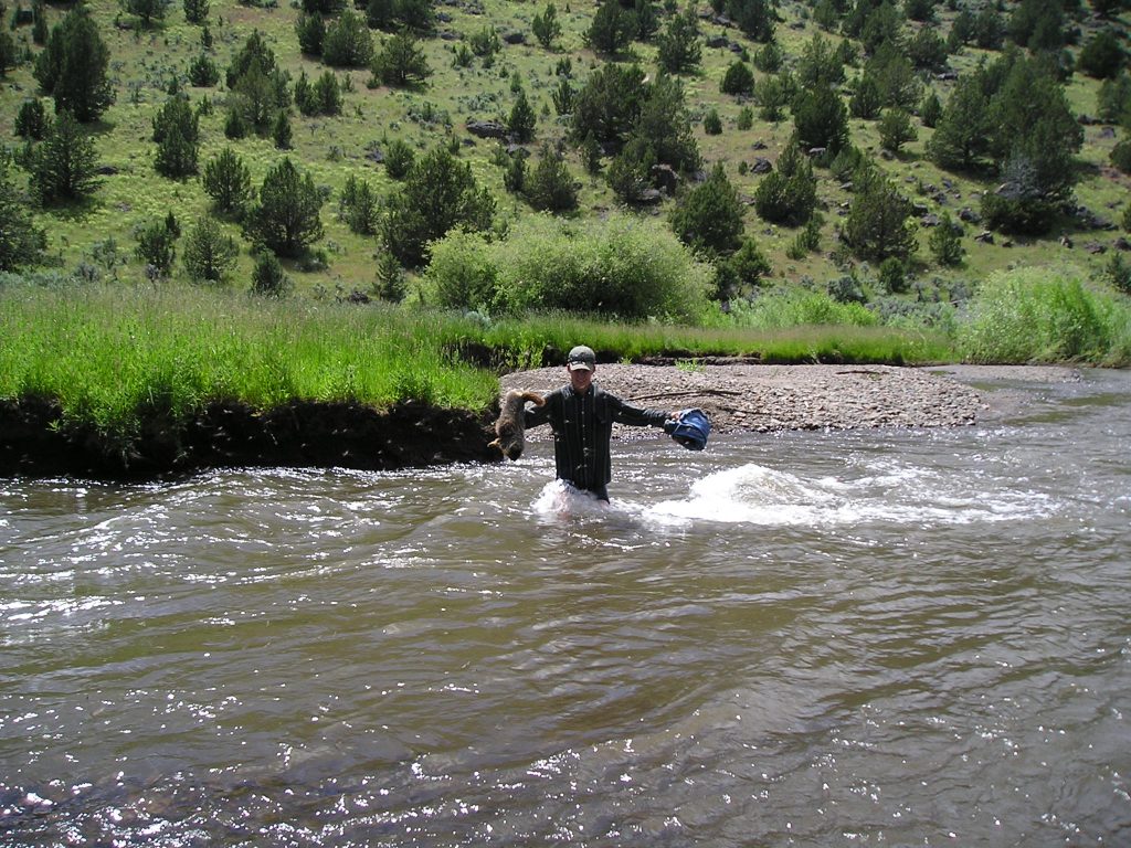 Fording the creek